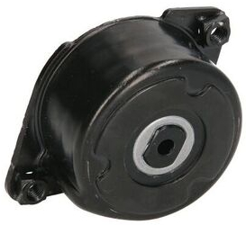 Intinzator curea BMW 3 E46 DAYCO APV2535 
