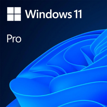 Licenta OEM Microsoft Windows 11 Pro 64 bit English 
