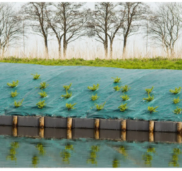 Nature Folie antiburuieni pentru sol verde 2x5 m 