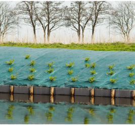 Nature Folie antiburuieni pentru sol verde 1 x 10 m 