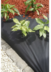 Nature Membrana antiburuieni negru 1 x 10 m 6030228 