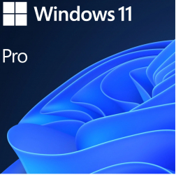 Microsoft Windows 11 Pro pentru statii de lucru 64 bit Engleza DVD