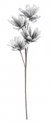 Set 12 flori Magnolia artificiala gri 25x92 cm 