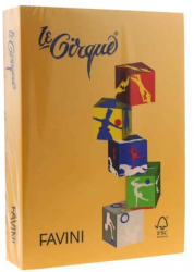 Carton Color 160G/MP A4 Galben Auriu - Favini 201 
