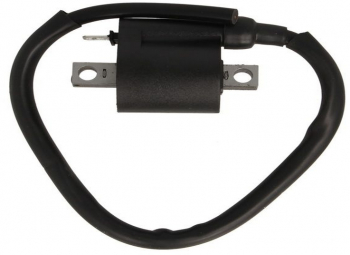 Bobina inductie RMS Aprilia Benelli Malaguti Yamaha BW S 50-200 
