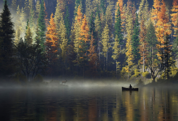Poster Calm Morning Boat Man 61x90cm poster1611 