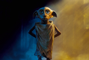 Poster Dobby The House Elf 61x90cm 