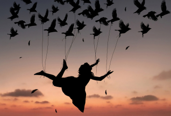 Poster Flying In Life 61x90cm poster786 