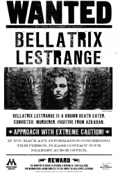 Poster Harry Potter Bellatrix Lestrange Wanted 61x90cm 