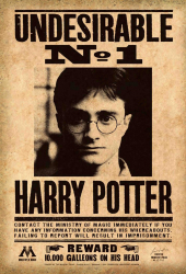 Poster Harry Potter Undesirable 61x90cm 