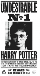 Poster Harry Potter Undesirable N1 61x90cm 