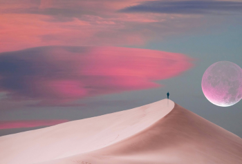 Poster Mellow Moon 61x90cm poster781 