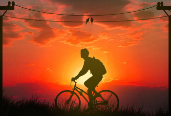 Poster Morning Bicycle Ride 61x90cm poster1205 