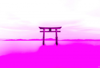 Poster Shirahige Shrine Vaporwave 61x90cm poster1649 