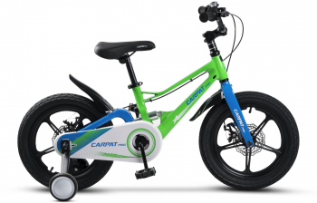 Bicicleta Copii 4-6 ani Carpat PRO C16144B 16 Verde/Albastru 