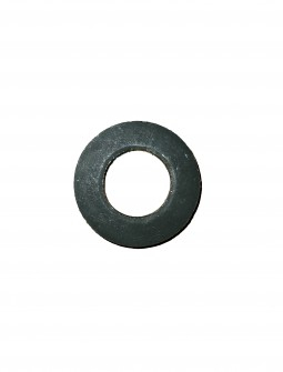 Saiba prezon chiuloasa neagra - durificata 103.01.228 