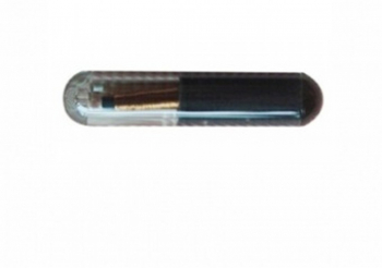 Cip auto ID 48 pentru Audi can 