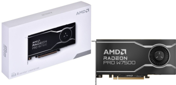 Placa Video AMD Radeon PRO W7500 8GB GDDR6 128 biti 100-300000078