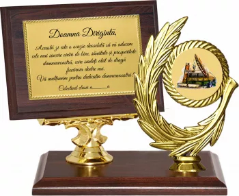 Trofeu Diriginta/Profesoara - 2 