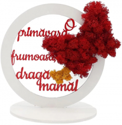 Decoratiune cadou pentru Mama cu licheni colorati - FEIS401039 - 23h Events 