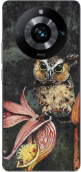 Husa Realme 11 Pro 5G Silicon Gel Tpu Model Owl Painted 
