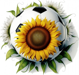 Sticker decorativ Minge Fotbal 63 cm 8917ST-3 