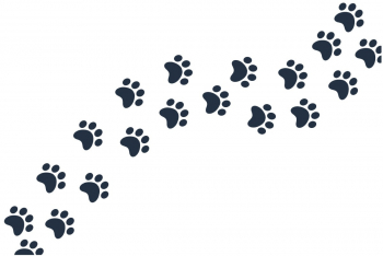 Sticker Auto Amprenta Animal 30 cm 12250ST-1 