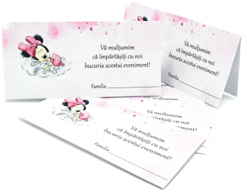 Plic de Dar bani pentru botez Baby Minnie fundal roz - MIBC402008 - 23h Events 