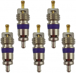 Set 5 ventile AC M8x1 pentru AUDI si VW SelTech 