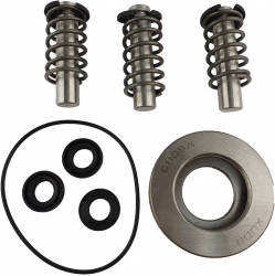 Set pistoane cu arcuri