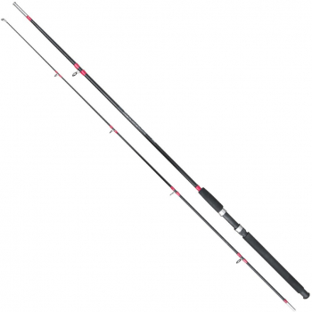 Lansete fibra sticla 2 tronsoane pline 2102 
