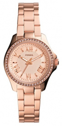 Ceas de dama Fossil Cecile AM4578 