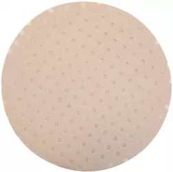 Abraziv/smirghel cu gauri pentru slefuitor perete P120 225 mm 
