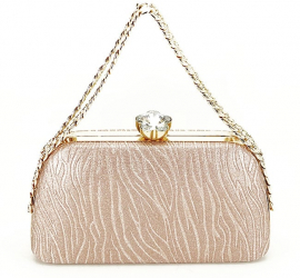 Geanta clutch sampanie cu maner BYH813 05 