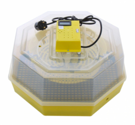 Incubator electric oua clocitoare cu termometru Cleo 5T 230 V 60 oua capacitate 38° C temperatura incubare 
