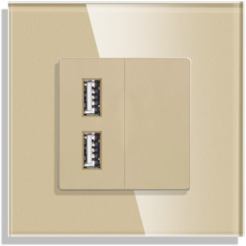 Priza USB cu rama din sticla LUXION Auriu 