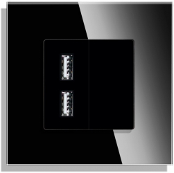 Priza USB cu rama din sticla LUXION Negru 