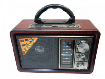 Radio Cu Conectori Usb Tf Card Microsd 3 Benzi Radio Lanterna 