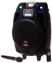 Boxa Activa Bluetooth Cu Glob Temeisheng X-10 Card Usb Telecomanda 
