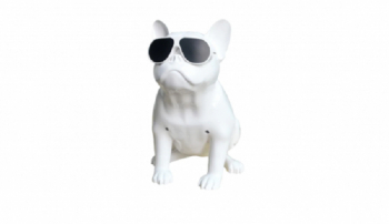 Boxa Bulldog Klausstech Bluetooth Card Radio Design Modern Bass Lumini Led Amplificator Alb 