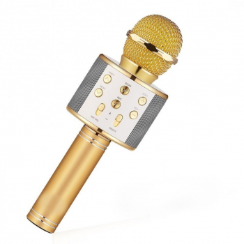 Microfon Karaoke Klausstech Cu Boxa Incorporata Suport Usb Tf Card Si Aux Iesire Casti 