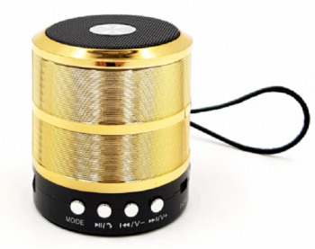 Mini Boxa Portabila Klausstech Handsfree Usb Bluetooth Radio Fm Design Compact Moderna Usor De Folosit Auriu 