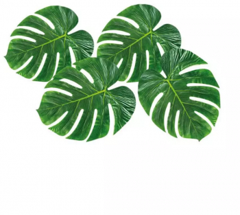 Set 4 frunze de palmier pentru decor 35 x 28 cm