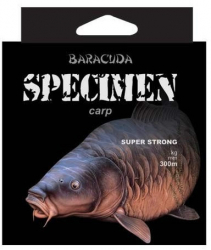 Fir monofilament Baracuda Specimen 300m-0 40mm/ 19 5kg 