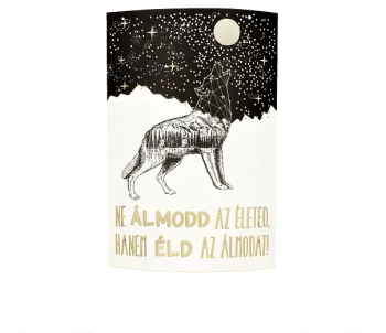 Lampa hartie Ne almodd az eleted hanem eld az almodat 