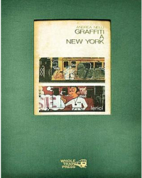 Graffiti a New York - Andrea Nelli Author 