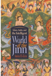 Islam Arabs and Intelligent World of the Jinn - Amira El-Zein Author 