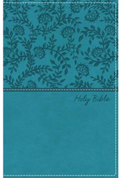 KJV Deluxe Gift Bible Imitation Leather Green Red Letter Edition - Thomas Nelson Author