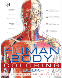 The Human Body Coloring Book - DK Publishing Manufactured by 