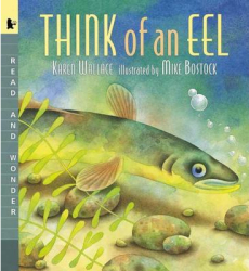Think of an Eel Read and Wonder - Karen Wallace Author 